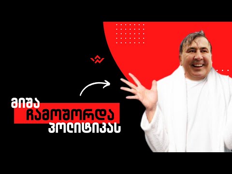 მიშა პოლიტიკას ჩამოშორდა?! / რა სჭირს რეალურად სააკაშვილს? /#სამნი \u0026 Co./ 29.11.2022